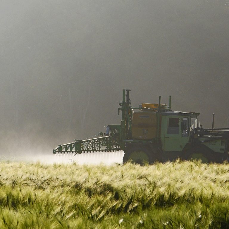 agriculture-2361978_1920